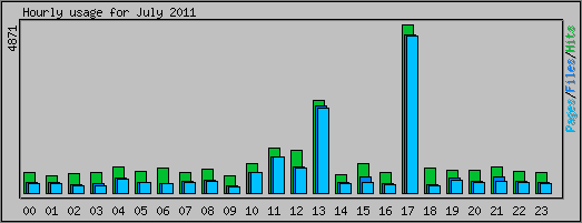 Hourly usage