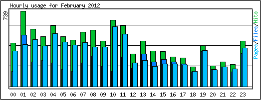 Hourly usage