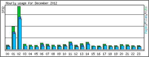 Hourly usage