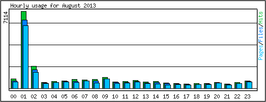 Hourly usage