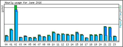 Hourly usage