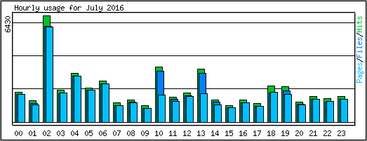 Hourly usage