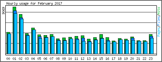 Hourly usage