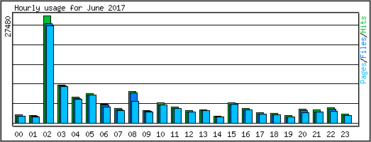 Hourly usage