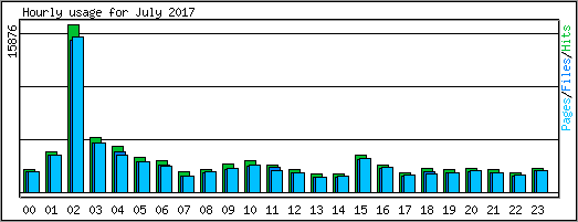 Hourly usage