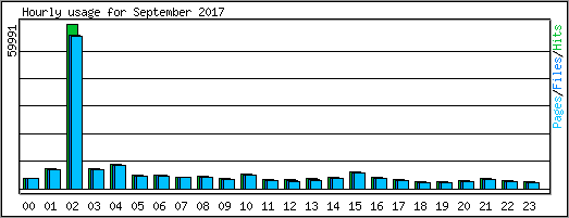 Hourly usage