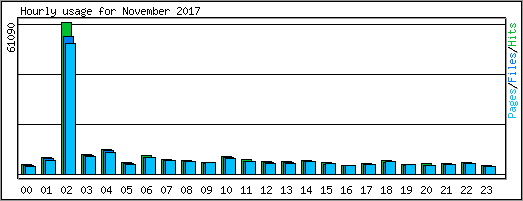 Hourly usage