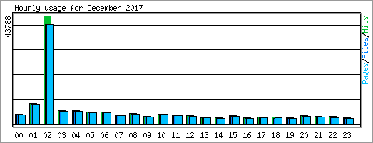 Hourly usage