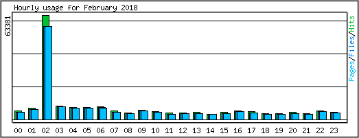 Hourly usage