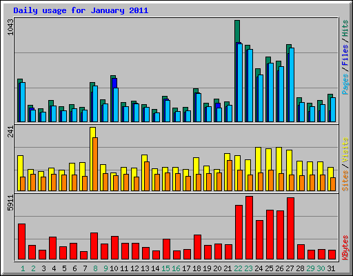 Daily usage for January 2011