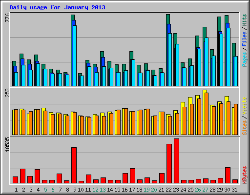 Daily usage for January 2013