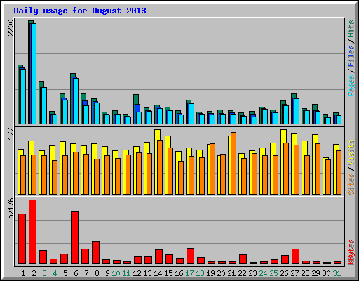 Daily usage for August 2013