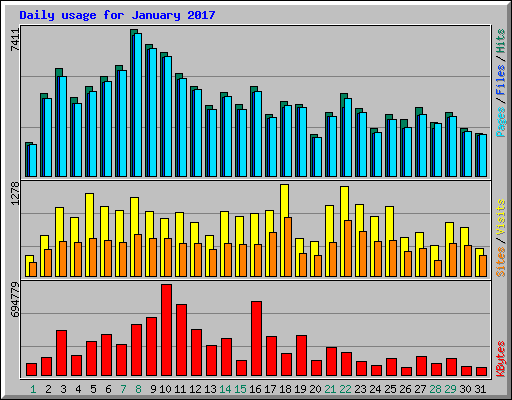 Daily usage for January 2017