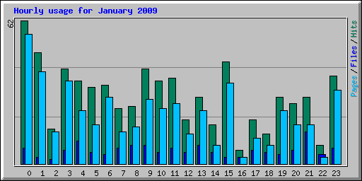 Hourly usage for January 2009