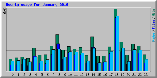 Hourly usage for January 2010