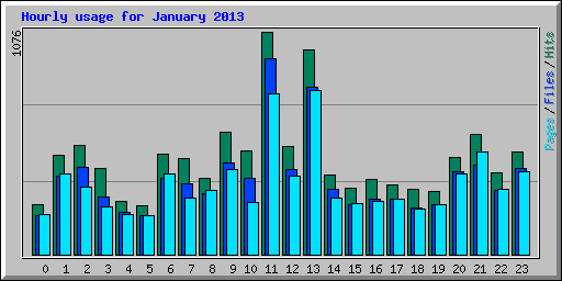 Hourly usage for January 2013