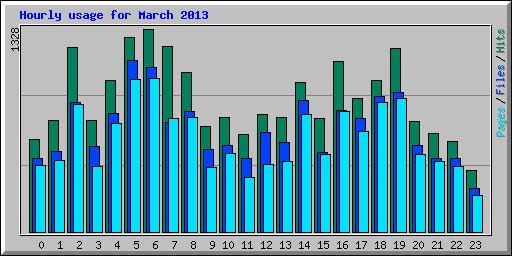 Hourly usage for March 2013