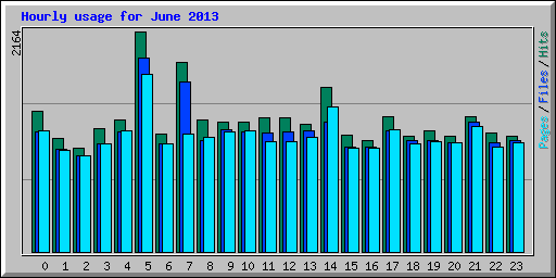 Hourly usage for June 2013