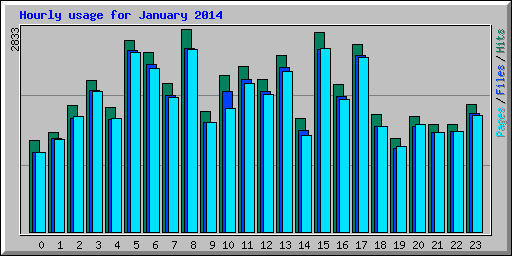 Hourly usage for January 2014