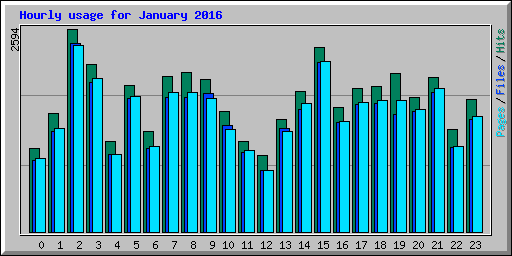 Hourly usage for January 2016