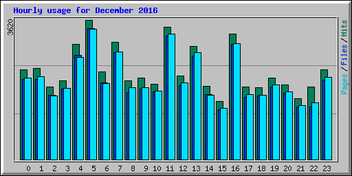 Hourly usage for December 2016