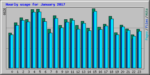 Hourly usage for January 2017