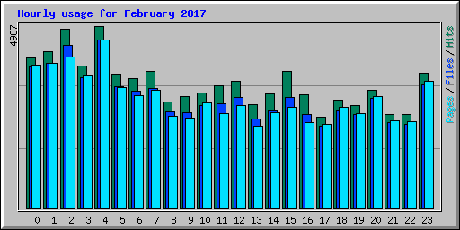 Hourly usage for February 2017