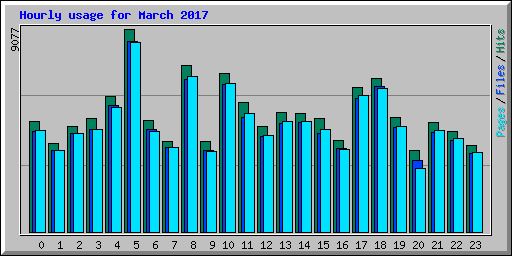 Hourly usage for March 2017